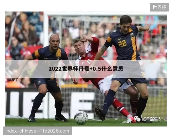 世界杯医疗救援联动模式将确立未来三年大型体育赛事的应急救援指挥基准